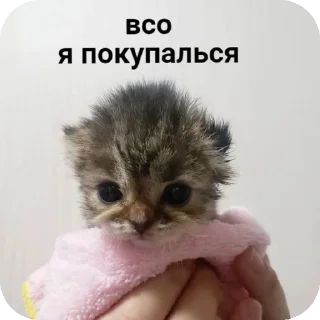 👍 emoji мяув Telegram sticker 5 of 35