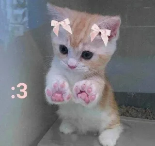 🐾 emoji @Earth928B <- больше стиков Telegram sticker 5 of 65