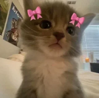 🙃 emoji @Earth928B <- больше стиков Telegram sticker 15 of 65