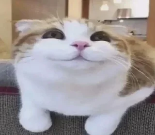 😊 emoji @Earth928B <- больше стиков Telegram sticker 4 of 65