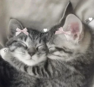 🫂 emoji @Earth928B <- больше стиков Telegram sticker 13 of 65