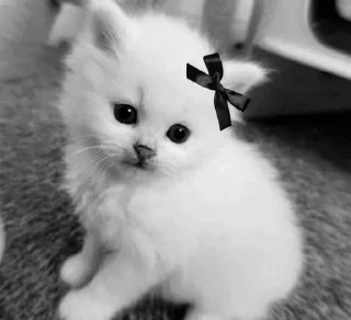 🥲 emoji @Earth928B <- больше стиков Telegram sticker 16 of 65