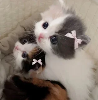 💖 emoji @Earth928B <- больше стиков Telegram sticker 6 of 65