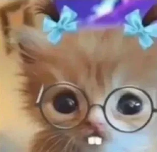 🤓 emoji @Earth928B <- больше стиков Telegram sticker 23 of 65
