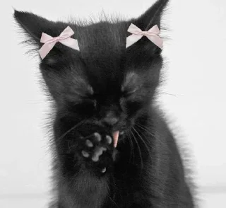 💖 emoji @Earth928B <- больше стиков Telegram sticker 7 of 65