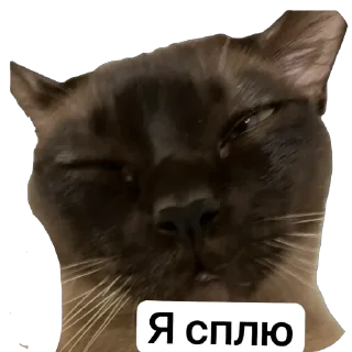 Sticker from Арчи