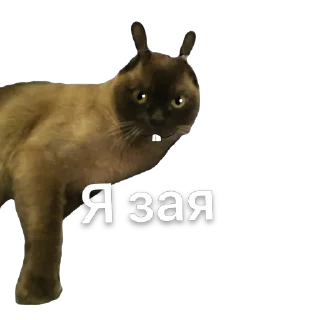 Sticker from Арчи