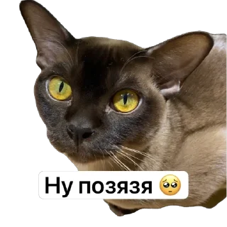 Sticker from Арчи