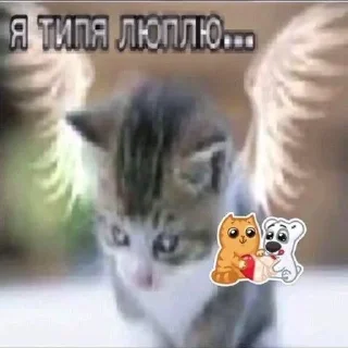 Sticker from трупы няшк @kkawaiXD