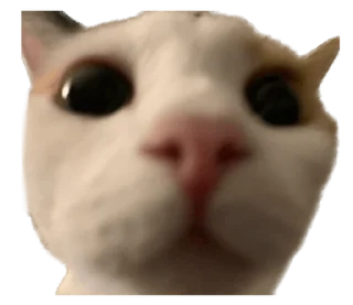 ❤️ emoji СТИКИ ➡️ @SOFTSTICKS Telegram sticker 12 of 81