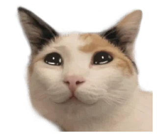 ❤️ emoji СТИКИ ➡️ @SOFTSTICKS Telegram sticker 3 of 81