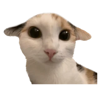 ❤️ emoji СТИКИ ➡️ @SOFTSTICKS Telegram sticker 23 of 81