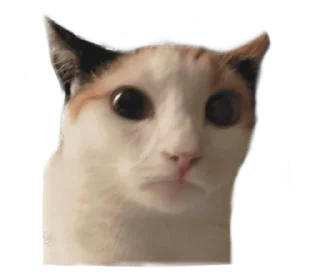 ❤️ emoji СТИКИ ➡️ @SOFTSTICKS Telegram sticker 1 of 81