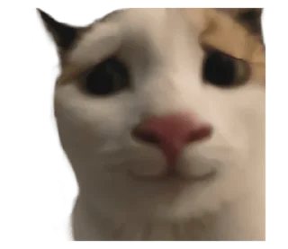 ❤️ emoji СТИКИ ➡️ @SOFTSTICKS Telegram sticker 11 of 81