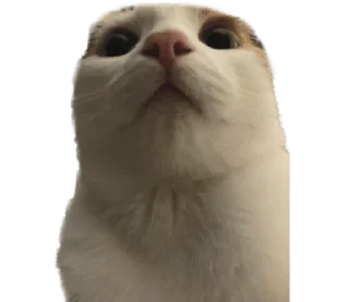 ❤️ emoji СТИКИ ➡️ @SOFTSTICKS Telegram sticker 2 of 81