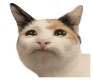 ❤️ emoji СТИКИ ➡️ @SOFTSTICKS Telegram sticker 4 of 81