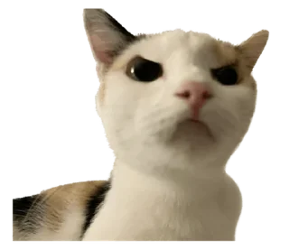 ❤️ emoji СТИКИ ➡️ @SOFTSTICKS Telegram sticker 6 of 81