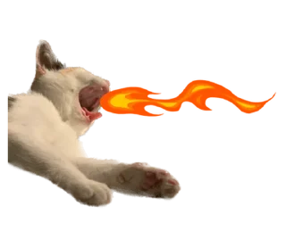 ❤️ emoji СТИКИ ➡️ @SOFTSTICKS Telegram sticker 19 of 81