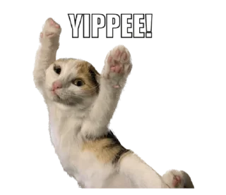 ❤️ emoji СТИКИ ➡️ @SOFTSTICKS Telegram sticker 18 of 81