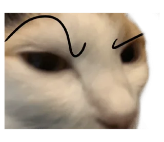 ❤️ emoji СТИКИ ➡️ @SOFTSTICKS Telegram sticker 9 of 81