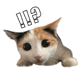 ❤️ emoji СТИКИ ➡️ @SOFTSTICKS Telegram sticker 20 of 81