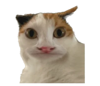 ❤️ emoji СТИКИ ➡️ @SOFTSTICKS Telegram sticker 8 of 81