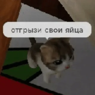 Sticker from wholesome kitties