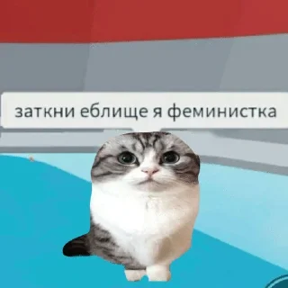 Sticker from wholesome kitties