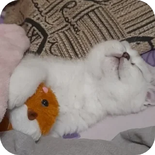 Sticker from Yumiko Kitty