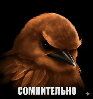 Sticker from Птички