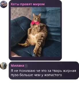🇵🇲 emoji Хвойные котлеты💊💊💊 pack by @QuotLyBot Telegram sticker 17 of 53