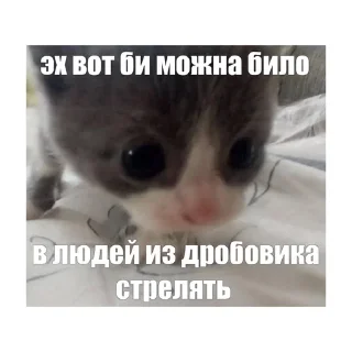 🔫 emoji котики🤏🏻 Telegram sticker 21 of 36