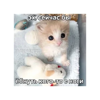 😔 emoji котики🤏🏻 Telegram sticker 11 of 36