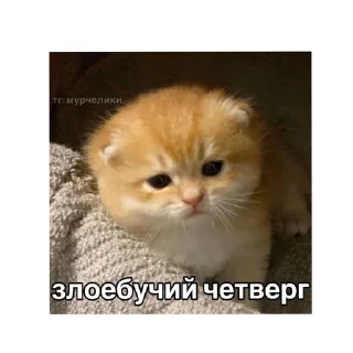 😡 emoji котики🤏🏻 Telegram sticker 2 of 36