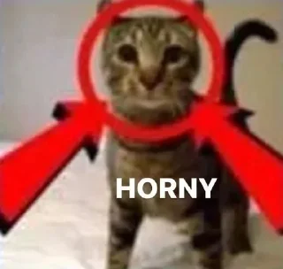 Sticker from imgay