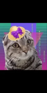 Sticker from Cat Businka