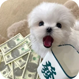 🐶 emoji ТГК @oboi_temku @Adidas_pro_o2 Telegram sticker 22 of 51