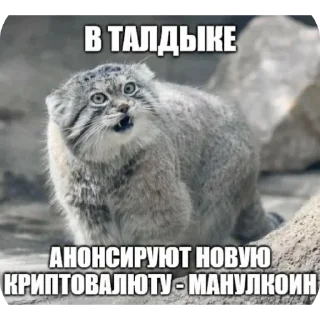 Sticker from Унитаз талдык