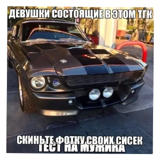 👩 emoji Унитаз талдык Telegram sticker 12 of 89