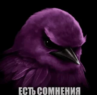 Sticker from вряд-ли... by @pipopiponya