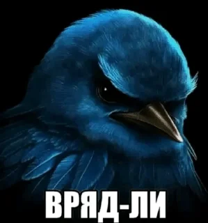 Sticker from вряд-ли... by @pipopiponya