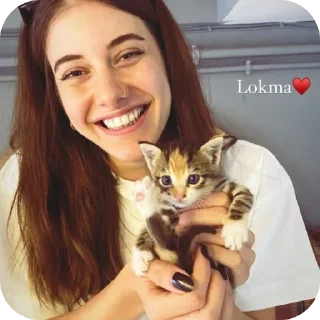 🐱 emoji НЕ БРАТЬ БЕРИЛ ДЛЯ РЛС @afrosh7 Telegram sticker 24 of 120