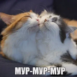 Sticker from Мур-мур: @Pea4_stickerbot