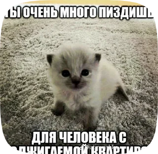 😡 emoji лёня коза Telegram sticker 17 of 17