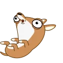 🙃 emoji Чихуаш Лёня (@TgSticker) Telegram sticker 16 of 20