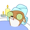 🛀 emoji Чихуаш Лёня (@TgSticker) Telegram sticker 2 of 20