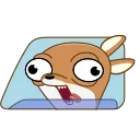 🚀 emoji Чихуаш Лёня (@TgSticker) Telegram sticker 7 of 20