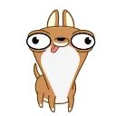 🤪 emoji Чихуаш Лёня (@TgSticker) Telegram sticker 18 of 20