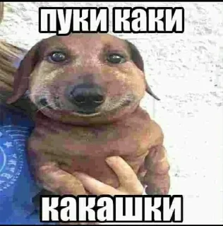 🌟 emoji Але) Telegram sticker 5 of 41