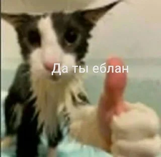 🌟 emoji Але) Telegram sticker 17 of 41